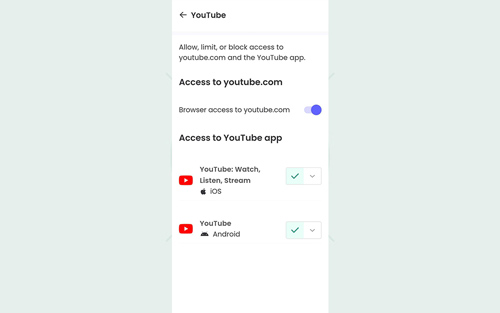 iPad with Qustodio failing to block YouTube